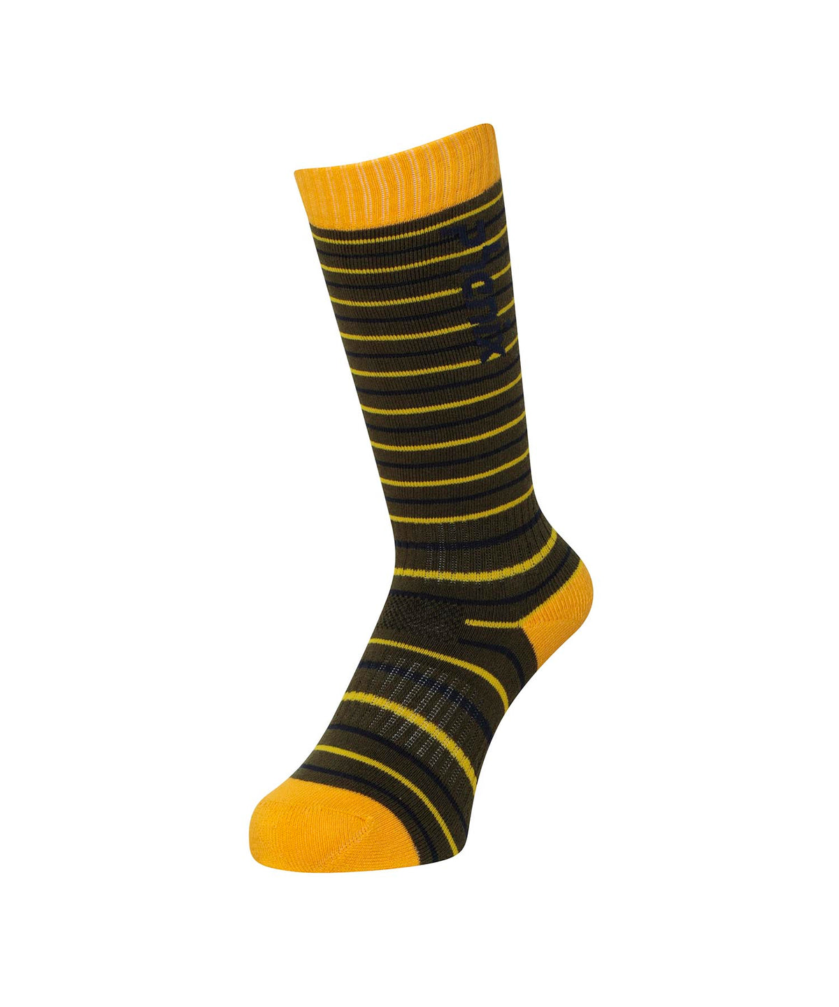 【KIDS/JUNIOR】子供用スキーソックス Multi Border Junior Socks / Jr ACC /phenixスキーウェア23AW