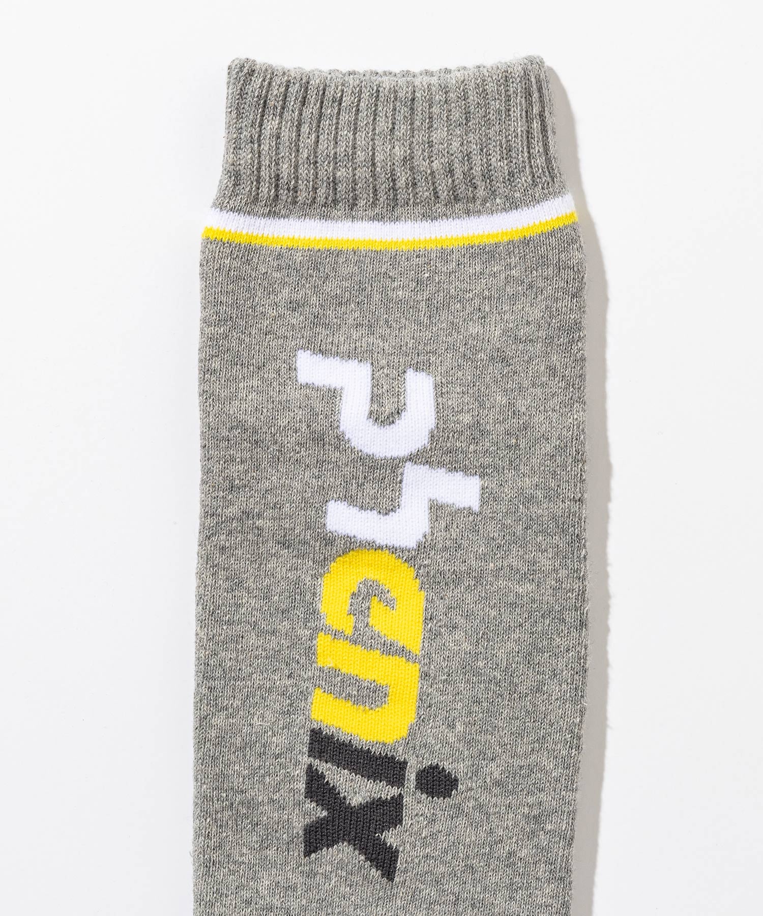 【MENS】Color Block Logo Ski Socks カラーブロックロゴスキーソックス /phenixスキーウェア 25AW