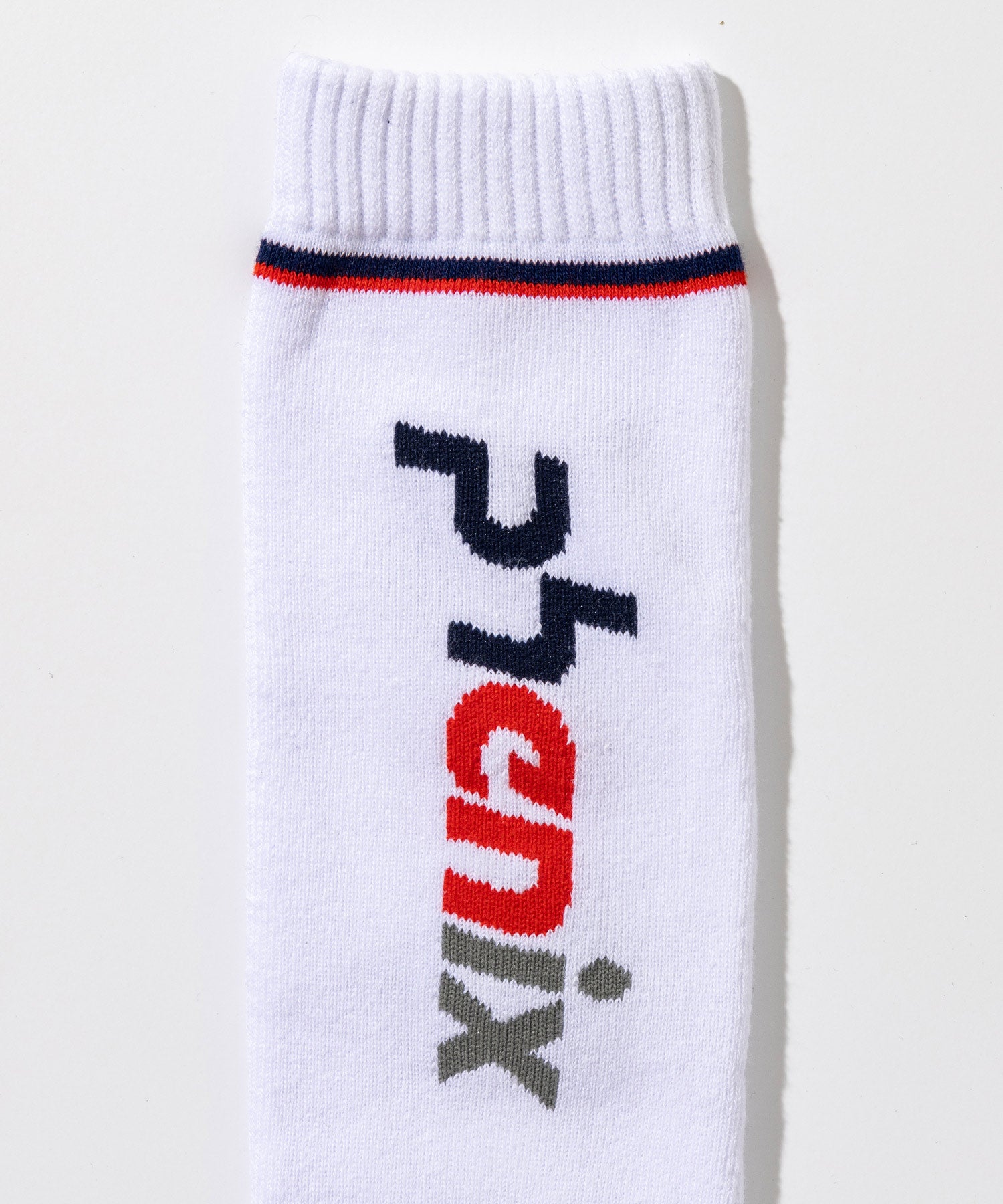 【MENS】Color Block Logo Ski Socks カラーブロックロゴスキーソックス /phenixスキーウェア 25AW