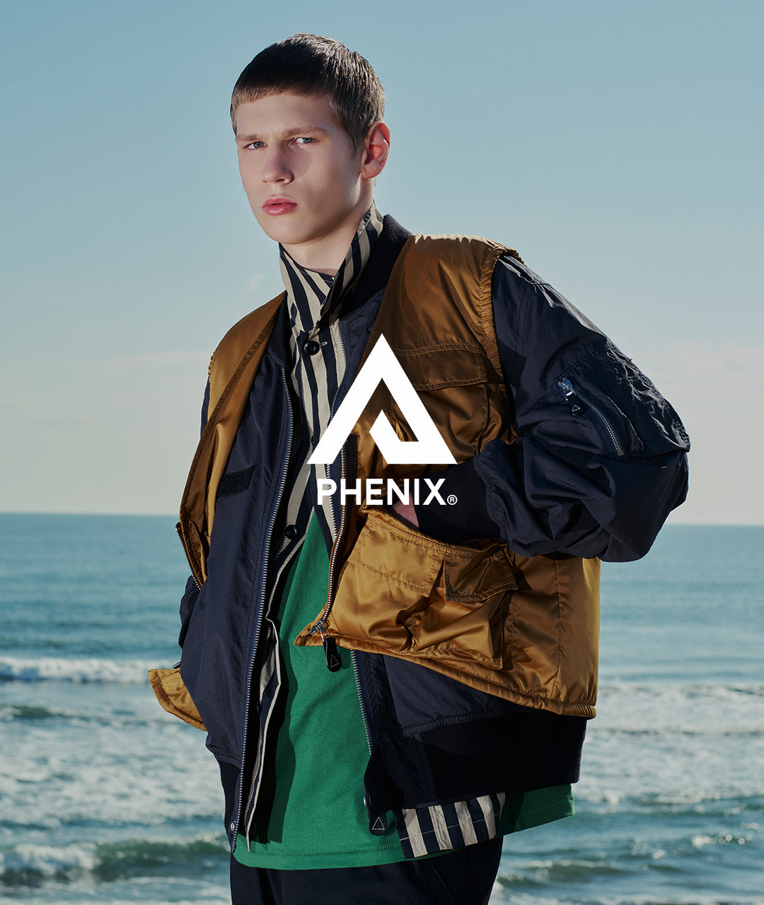 PHENIX_2f8b573a-de3f-44ec-98d4