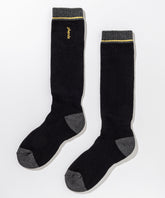 【WOMENS】Phenix Training Ski Socks  フェニックストレーニングスキーソックス /phenixスキーウェア 25AW