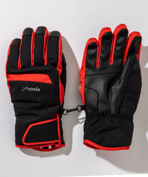 【MENS】 Bicolor Gloves  バイカラーグローブ /phenixスキーウェア 25AW