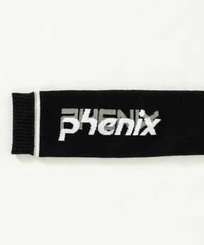 【MENS】Double Phenix Logo Mens Socks メンズダブルPHロゴマークソックス / ACC / スキーソックス /phenixスキーウェア 24AW