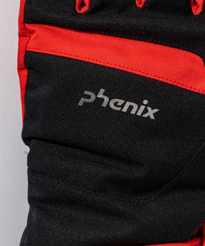【MENS】 Bicolor Gloves  バイカラーグローブ /phenixスキーウェア 25AW
