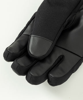 【WOMENS】Phenix GORE Womens Gloves フェニックスゴアWsグローブ  / ACC / スノーグローブ /phenixスキーウェア 24AW