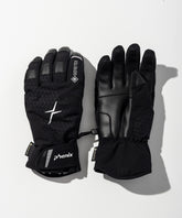 【MENS】GORE-TEX Gloves / GORE-TEX Gloves / phenix Ski Wear 26AW