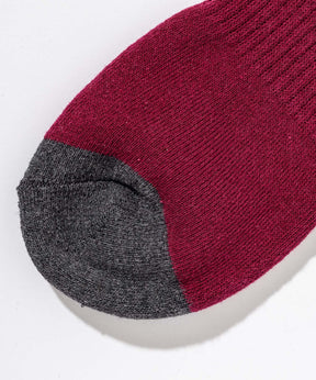 【WOMENS】Phenix Training Ski Socks  フェニックストレーニングスキーソックス /phenixスキーウェア 25AW