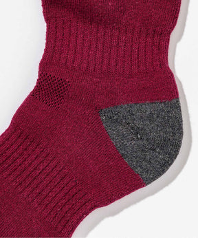 【WOMENS】Phenix Training Ski Socks  フェニックストレーニングスキーソックス /phenixスキーウェア 25AW