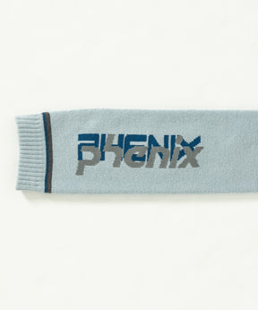 【MENS】Double Phenix Logo Mens Socks メンズダブルPHロゴマークソックス / ACC / スキーソックス /phenixスキーウェア 24AW