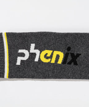 【WOMENS】Color Block Logo Ski Socks  カラーブロックロゴスキーソックス /phenixスキーウェア 25AW