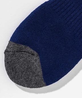 【MENS】Color Block Logo Ski Socks  カラーブロックロゴスキーソックス /phenixスキーウェア 25AW