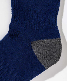 【MENS】Color Block Logo Ski Socks  カラーブロックロゴスキーソックス /phenixスキーウェア 25AW