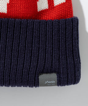 【KIDS/JUNIOR】Phenix Big Logo Junior Knit Hat  フェニックスビッグロゴニットハット /phenixスキーウェア 25AW