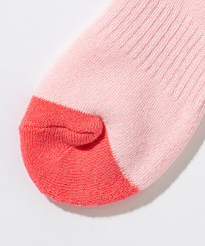 【KIDS/JUNIOR】Phenix Training Ski Socks  フェニックストレーニングスキーソックス /phenixスキーウェア 25AW