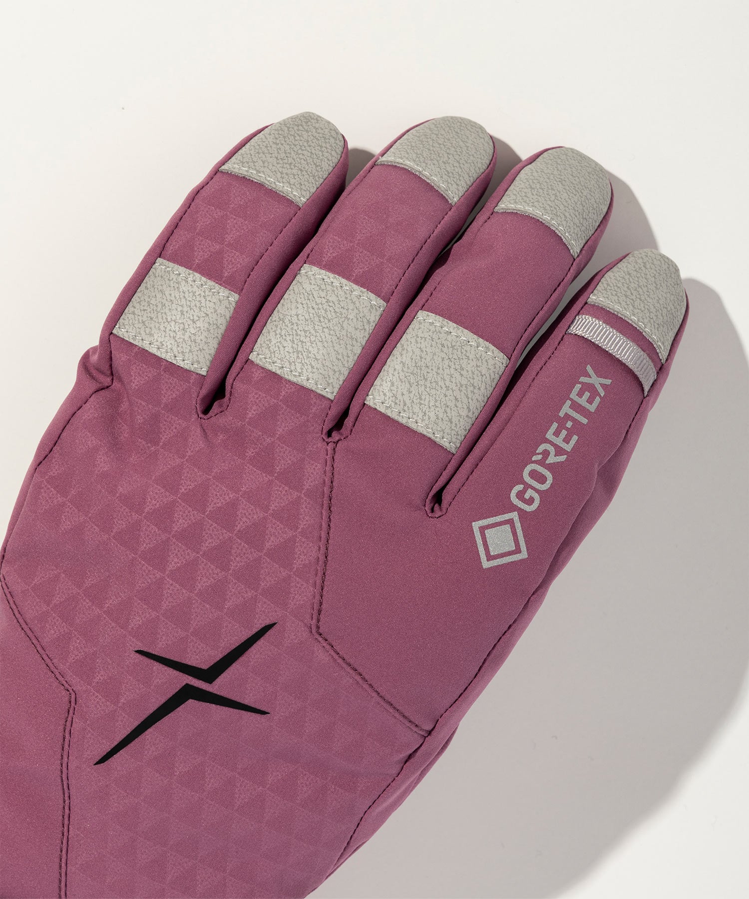 【MENS】GORE-TEX Gloves / GORE-TEX Gloves / phenix Ski Wear 26AW