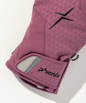 【MENS】GORE-TEX Gloves / GORE-TEX Gloves / phenix Ski Wear 26AW