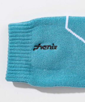 【MENS】Lined Ski Sockss  ラインスキーソックス /phenixスキーウェア 25AW