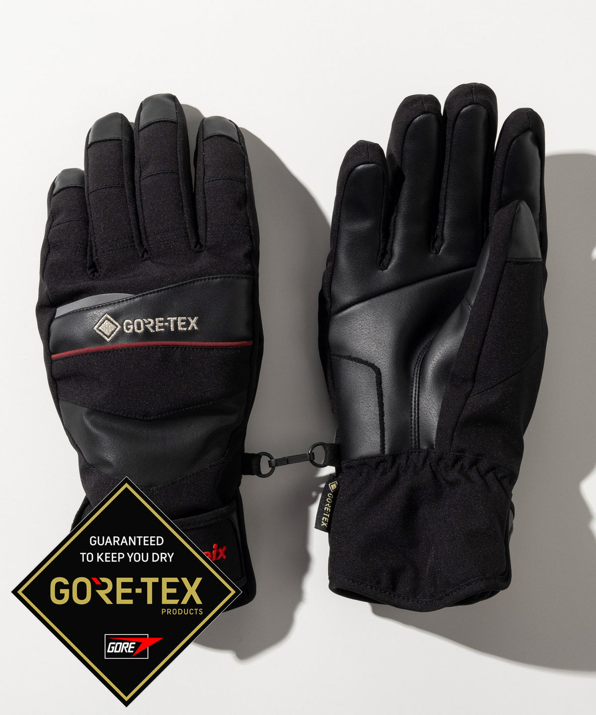 【MENS】Phenix GORE Mens Gloves フェニックスゴアメンズグローブ / ACC / スノーグローブ /phenixスキーウェア 24AW