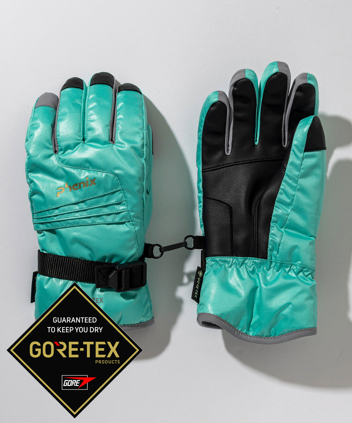 【MENS】 Phenix GORE Gloves  フェニックスゴアグローブ /phenixスキーウェア 25AW