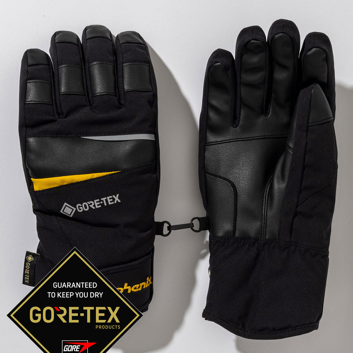 MENS】 Phenix GORE Gloves フェニックスゴアグローブ /phenixスキー