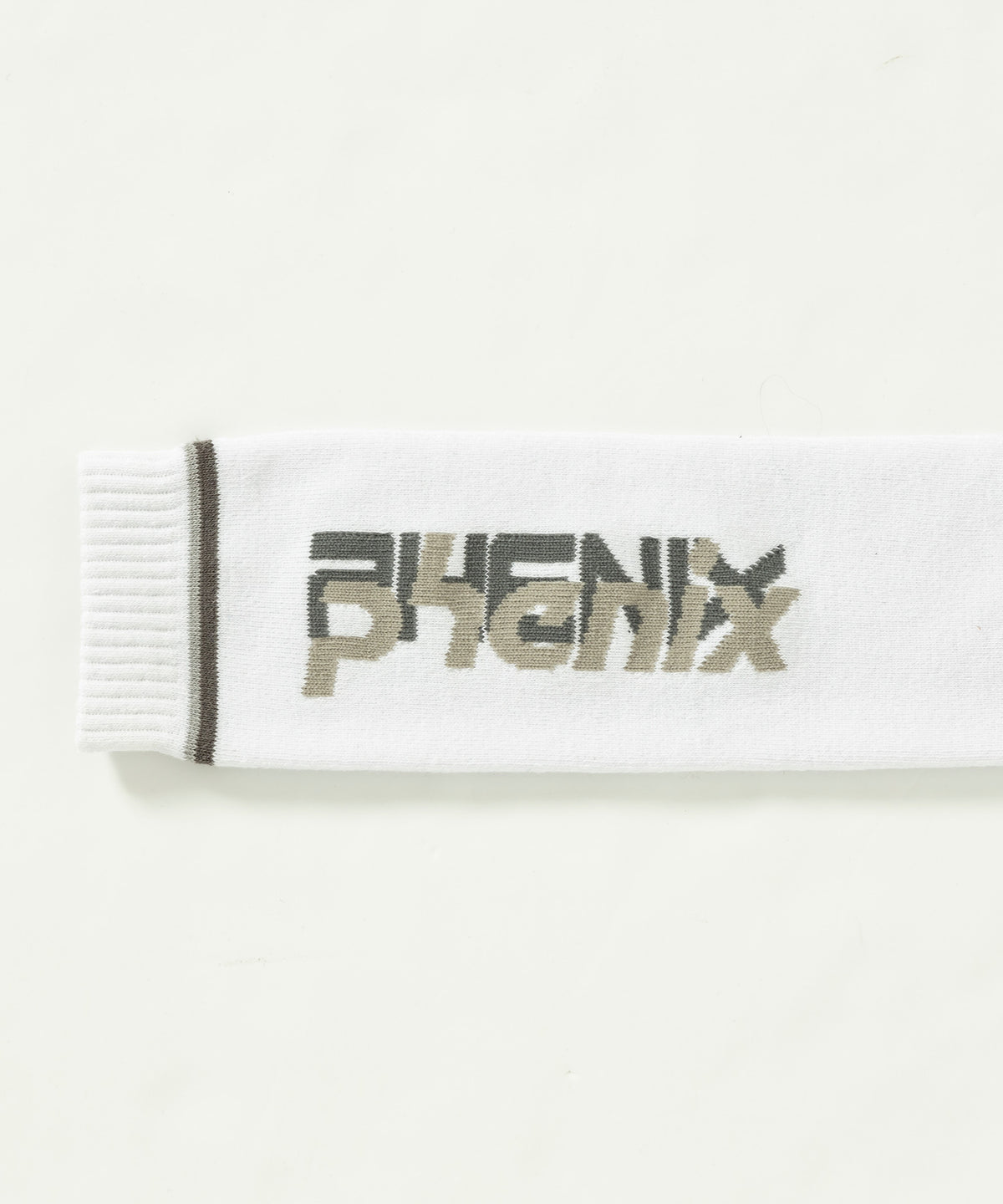 【MENS】Double Phenix Logo Mens Socks メンズダブルPHロゴマークソックス / ACC / スキーソックス /phenixスキーウェア 24AW