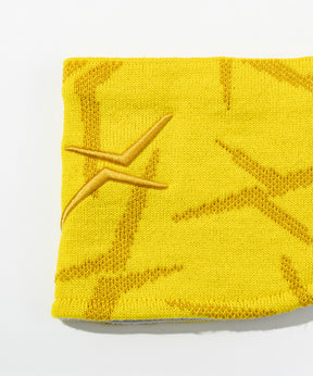 【MENS】Sweden Headband スウェーデンヘッドバンド / SWEDEN /phenixスキーウェア 25AW